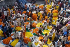 Kolkata Flower Market